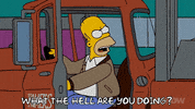Season 19 Episode 3 GIF by The Simpsons