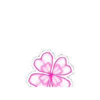 Pink Rose Sticker by farfestival