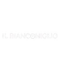 ilbianconiglio sara il bianconiglio riordino Sticker