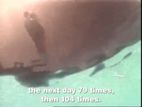 episode 2 specials GIF