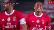 Sl Benfica Slbgif GIF by Sport Lisboa e Benfica