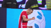 Sl Benfica Slbgifs GIF by Sport Lisboa e Benfica