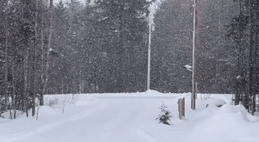 Snow Descends on Southern Vermont as Authorities Issue Multiple Weather Warnings