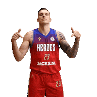 Basketball Celebration Sticker by Heroes Den Bosch