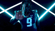 Old Dominion Sport GIF by ODU Football