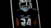 Old Dominion Sport GIF by ODU Football