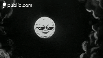 To The Moon Bitcoin GIF by Public.com
