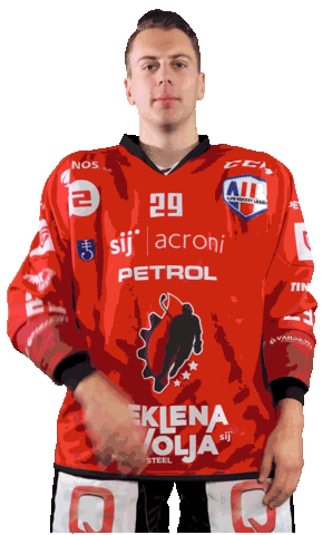 Hockey Steelers Sticker by HDD SIJ Acroni Jesenice