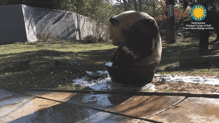 acid dump GIF