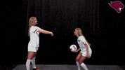 College Sports Sport GIF by CUCougars