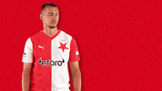 Football Soccer GIF by SK Slavia Praha