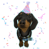 Happy Birthday Feliz Cumpleanos Sticker