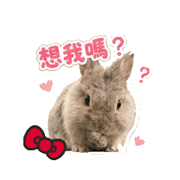Vplab Sticker by ltudcd