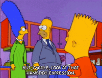 homer simpson episode 6 GIF