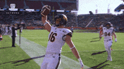 Celebrate Cal Football GIF by Pac-12 Network