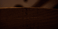 strangerthings stranger things stranger things 2 stranger things season 2 GIF