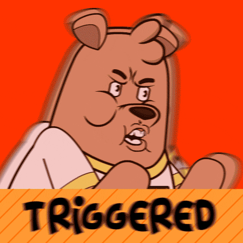 Anger Reaction GIF by Meme World of Max Bear