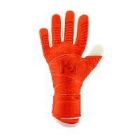 Goalkeeper Gloves Sticker by KEEPERsport