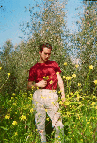 dianesagnier giphyupload GIF