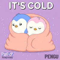 Freezing Warm Up GIF by Pudgy Penguins