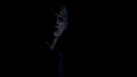 fox what GIF by Wayward Pines