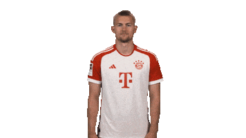 Fc Bayern Smile Sticker by Bundesliga