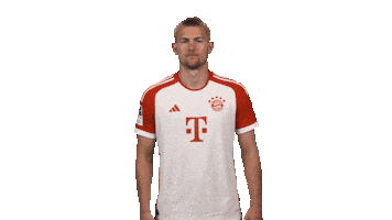 Come Here Fc Bayern Sticker by Bundesliga