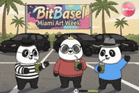 Miami Panda GIF by Pandu Pandas