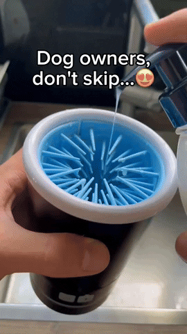 lisaportelli giphyupload GIF