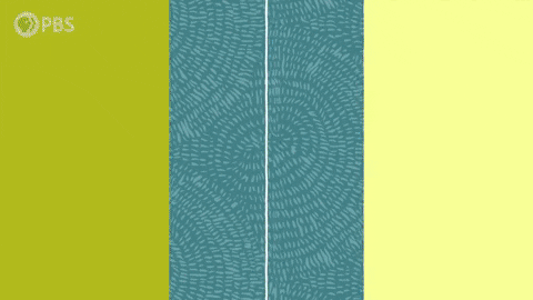 GIF by PBS Digital Studios
