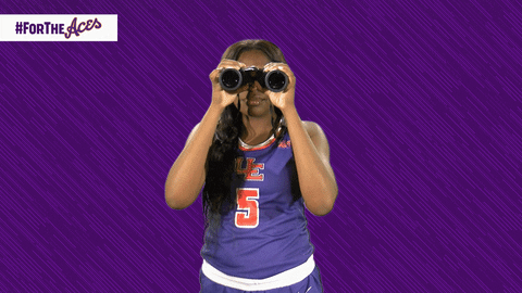 UEAthletics giphyupload evansville purple aces fortheaces GIF