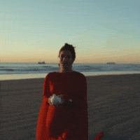Bird Fly GIF by Avalon Music