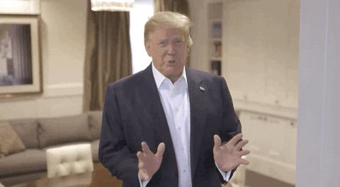 Donald Trump School GIF by GIPHY News