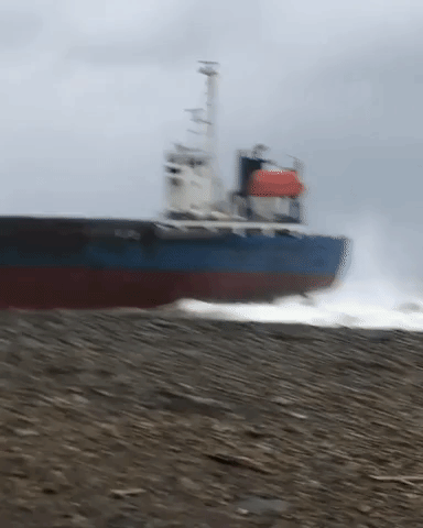 Chinese Crew Rescued After Container Ship Runs Aground in Sakhalin, Russia