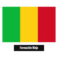 Flag Bandera Sticker by Formación Ninja