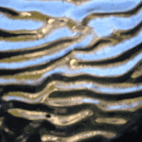 fluid GIF by Ryan Seslow