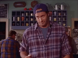 season 2 netflix GIF by Gilmore Girls 