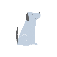 Dog Please Sticker