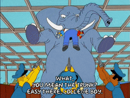 the simpsons GIF