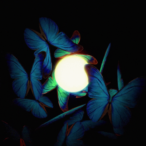 Blue butterflies fluttering around a circle light