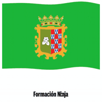 Castilla Y Leon GIF by Formación Ninja