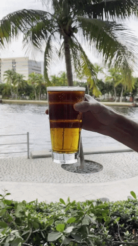 Beer Pour GIF by Biscayne Bay Brewing