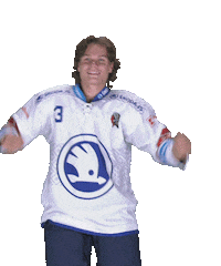 Happy Dance Sticker by HC Škoda Plzeň