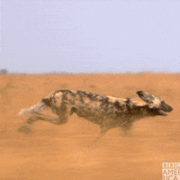 planet earth want GIF by BBC America