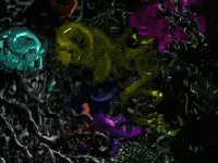 astronomy GIF