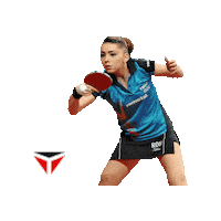 Table Tennis Sport Sticker by TIBHAR