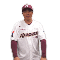 키움히어로즈 Sticker by Kiwoom Heroes Baseball Club