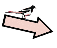 Swipe Up Sticker by Magpie Wedding