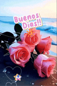 Crece Muy Buenos Dias GIF by Murcianys LLC