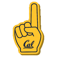 University Of California Bears Sticker by College Colors Day